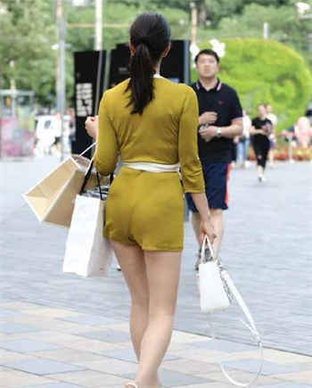 重生之九尾凶猫txt下载