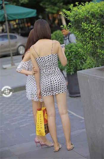 红杏app原来版本