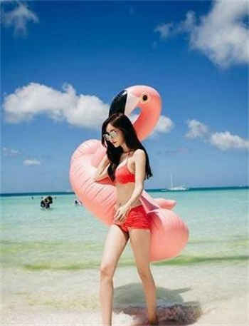 小说顾辰与叶青霜