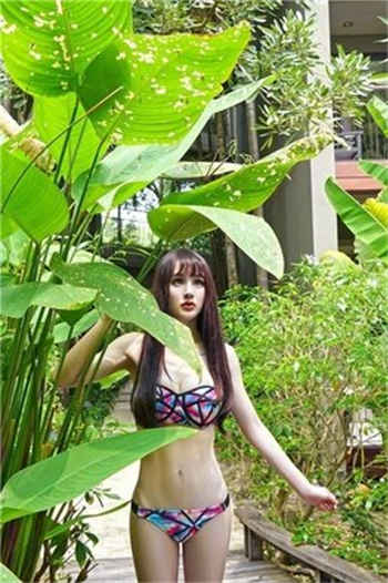 兔子先生神秘的跳弹
