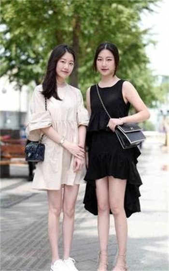 动物世界台词