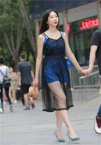猫咪官网社区网页版